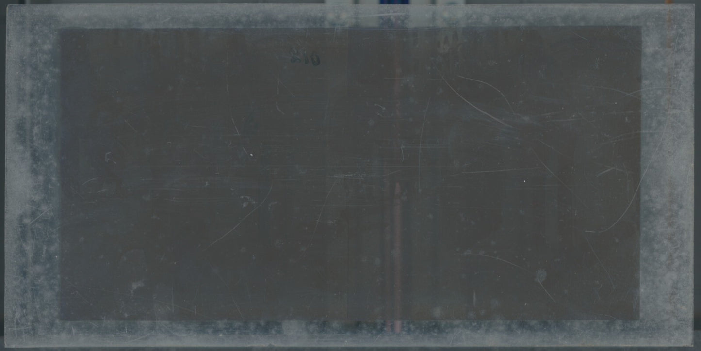 Personnages, Longchamp, Paris, plaque verre stéréoscopique, positif 8,5x17 cm