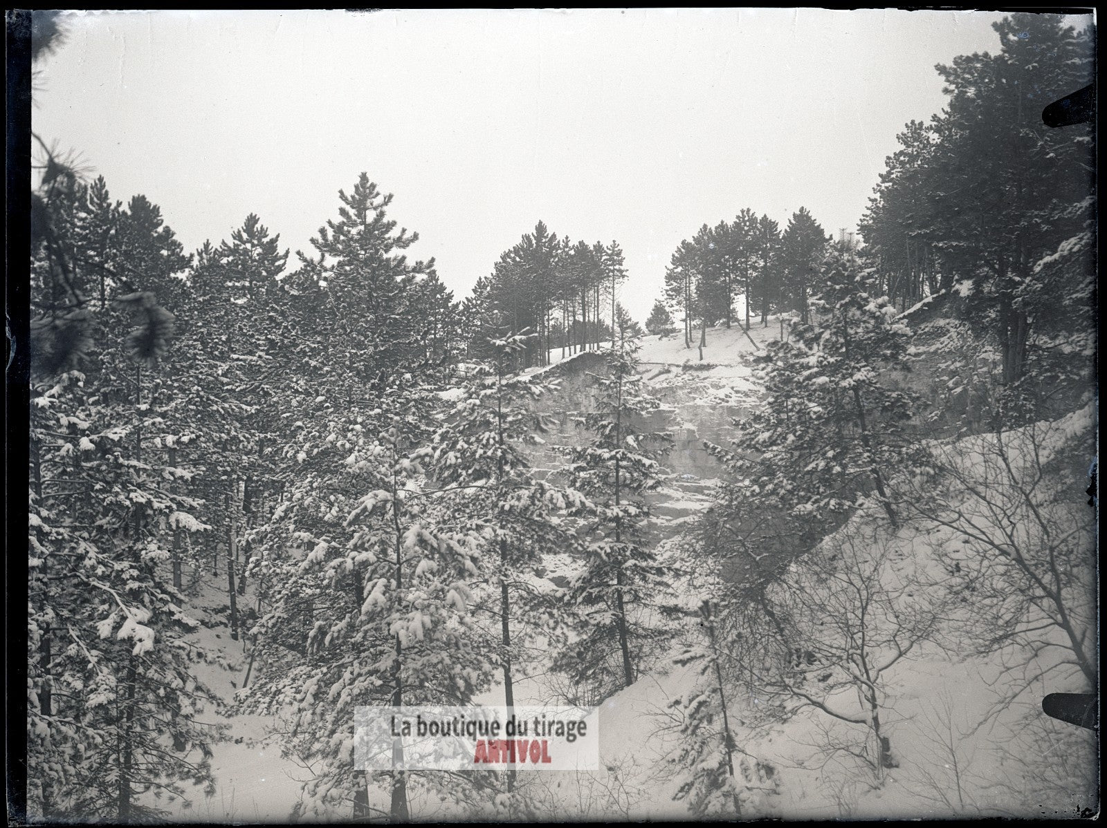 Forêt enneigée, hiver paysage, plaque verre, photo ancienne, négatif 9x12 cm