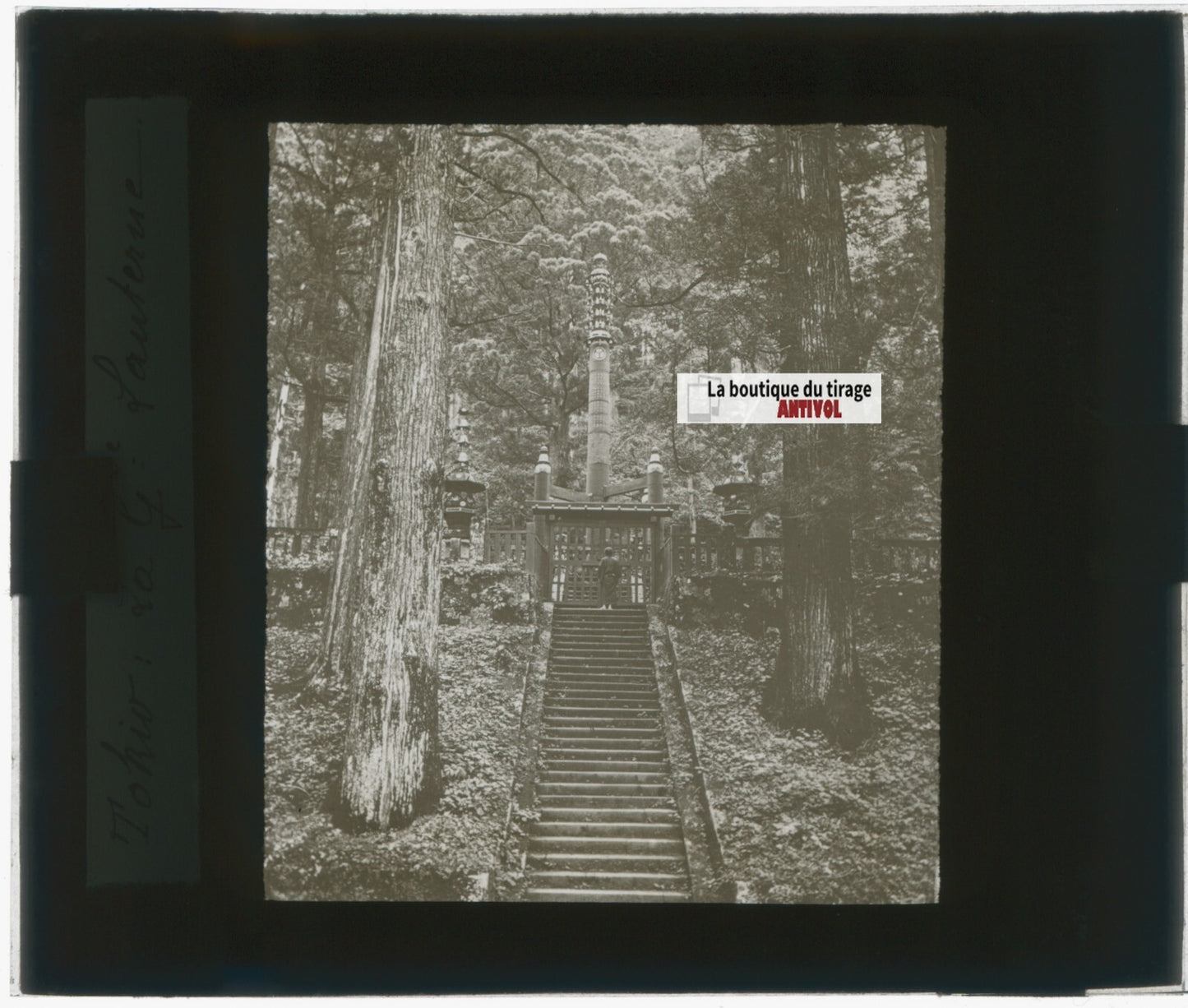 Tokyo, Japon, photo plaque de verre, noir & blanc, positif 8,5x10 cm