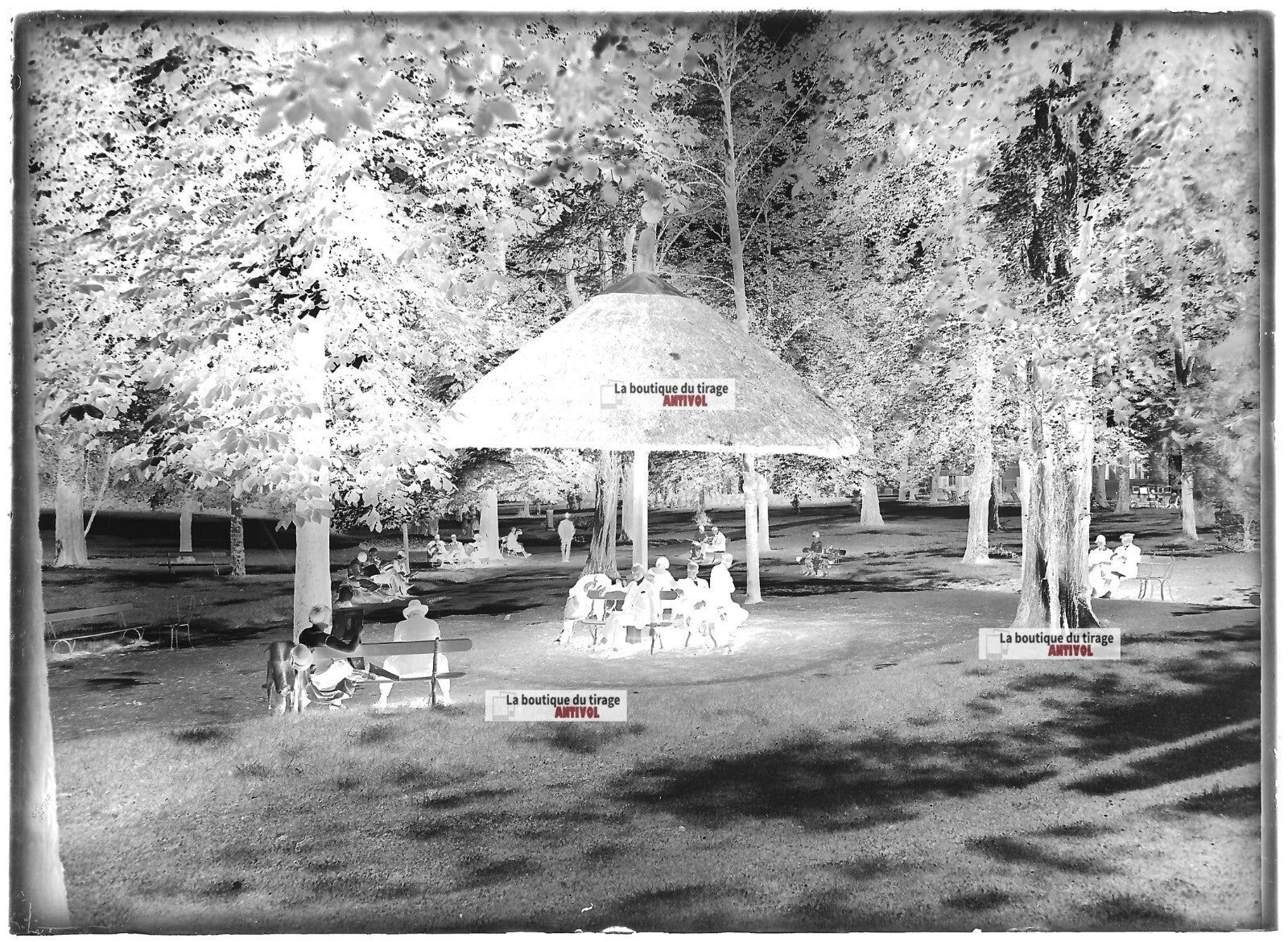 Plaque verre photo ancienne négatif noir et blanc 13x18 cm Vittel parc public