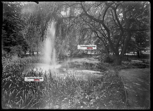 Plaque verre photo ancienne négatif noir et blanc 13x18 cm Haguenau parc public