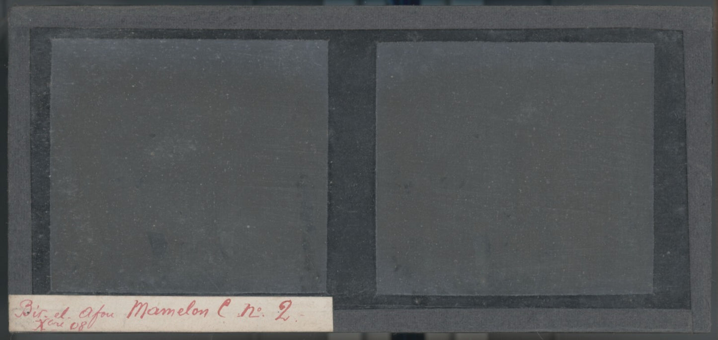 Hommes, Bir el Afou, Tunisie, plaque verre stéréoscopique, positif 7x15 cm