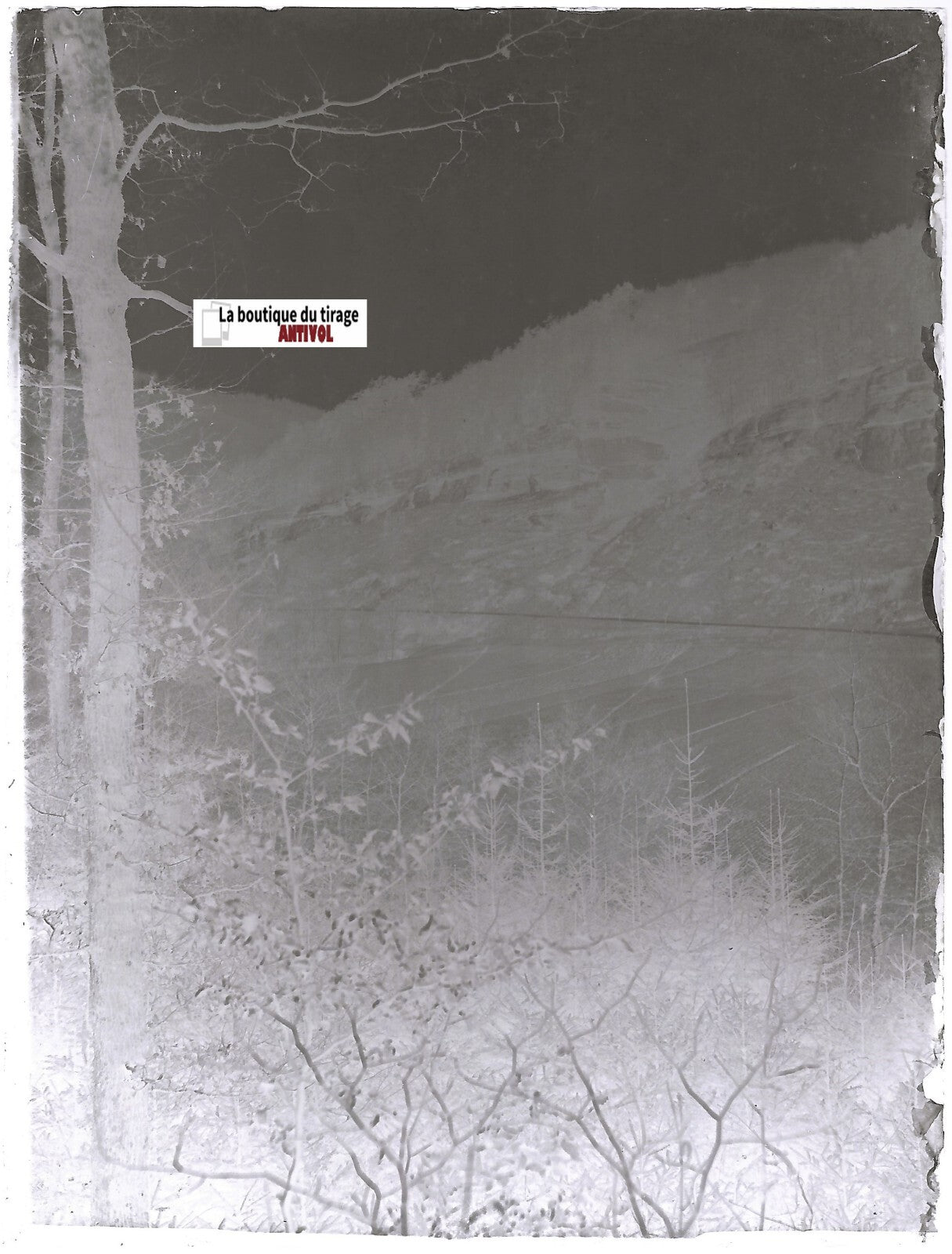 Paysage, route, Plaque verre photo ancienne, négatif noir & blanc 9x12 cm