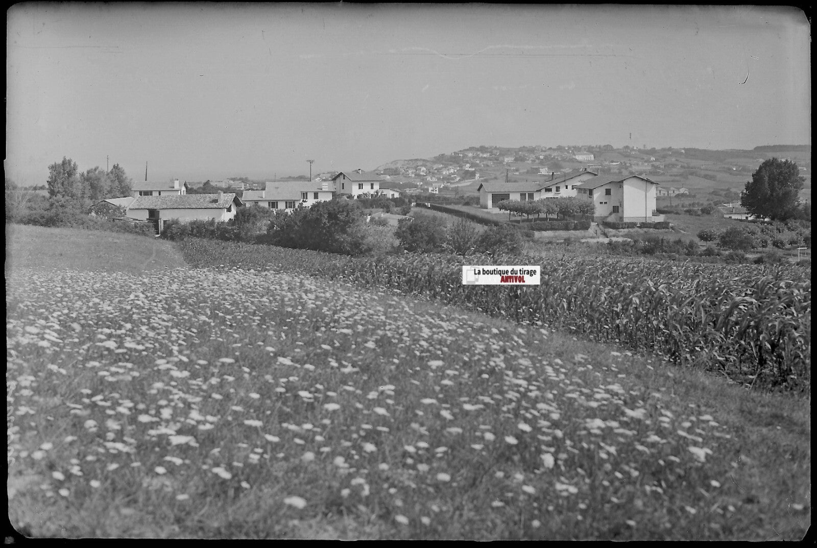 Bidart, paysage, Plaque verre photo ancienne, négatif noir & blanc 10x15 cm