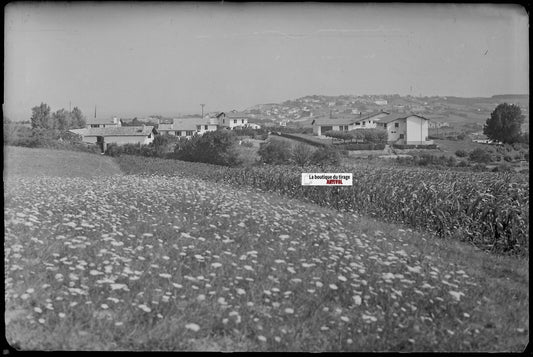 Bidart, paysage, Plaque verre photo ancienne, négatif noir & blanc 10x15 cm