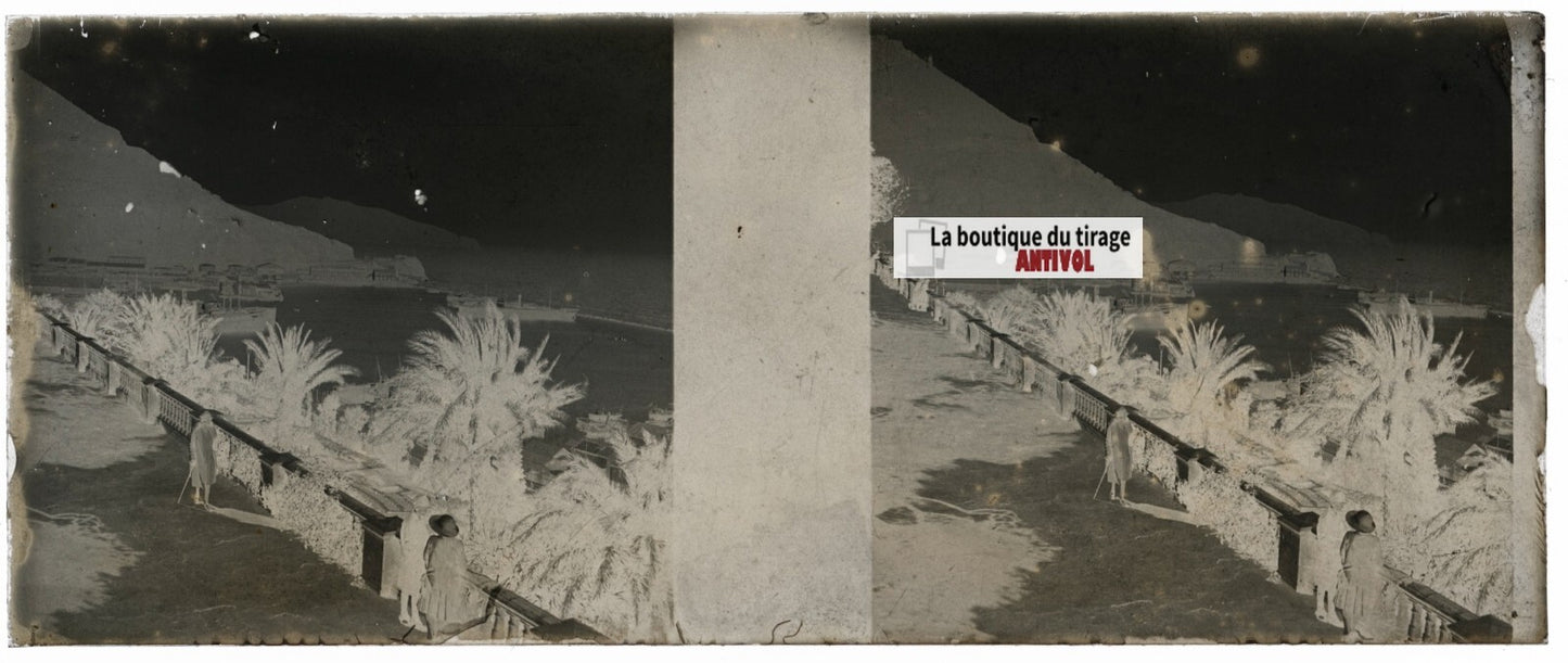 Promenade Létang, Oran, Plaque verre stéréo, négatif noir & blanc 4,5x10,7 cm