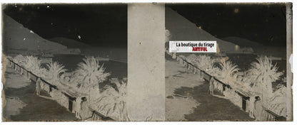 Promenade Létang, Oran, Plaque verre stéréo, négatif noir & blanc 4,5x10,7 cm