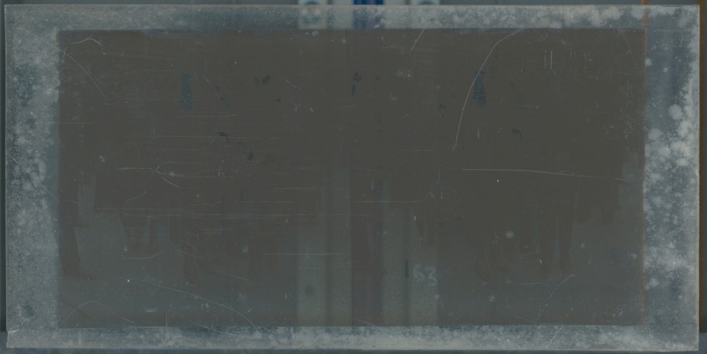 Scène de vie, Longchamp, Paris, plaque verre stéréoscopique, positif 8,5x17 cm