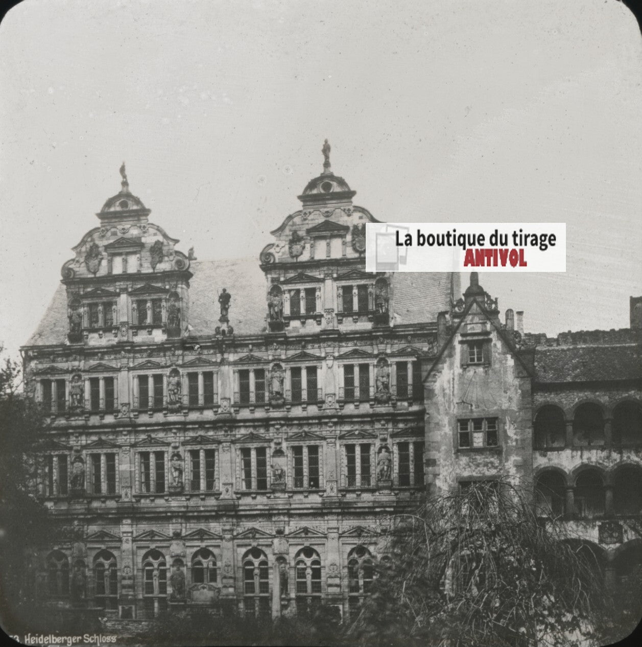 Château de Heidelberg, Allemagne, photo plaque verre, positif 8,5x10 cm