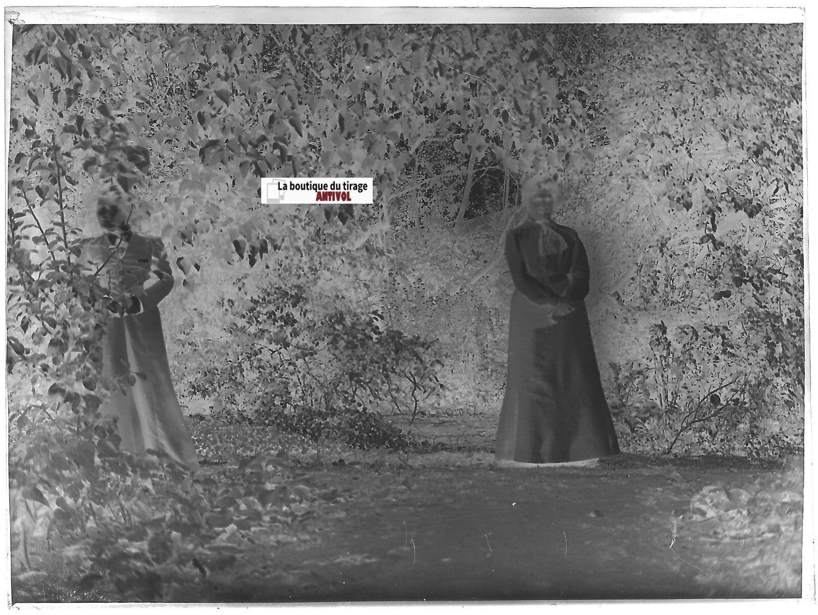 Jardin, nature, dame en robe, Plaque verre photo, négatif noir & blanc 9x12 cm
