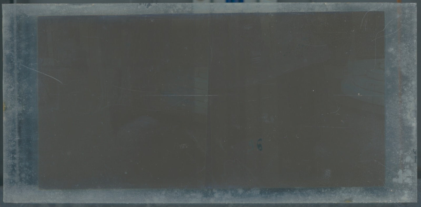 Scène de vie, Longchamp, Paris, plaque verre stéréoscopique, positif 8,5x17 cm