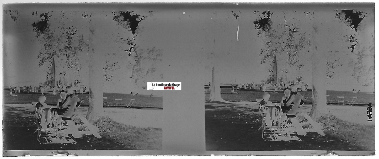 Parc public, Plaque verre photo stéréoscopique, négatif noir & blanc 4,5x10,7 cm