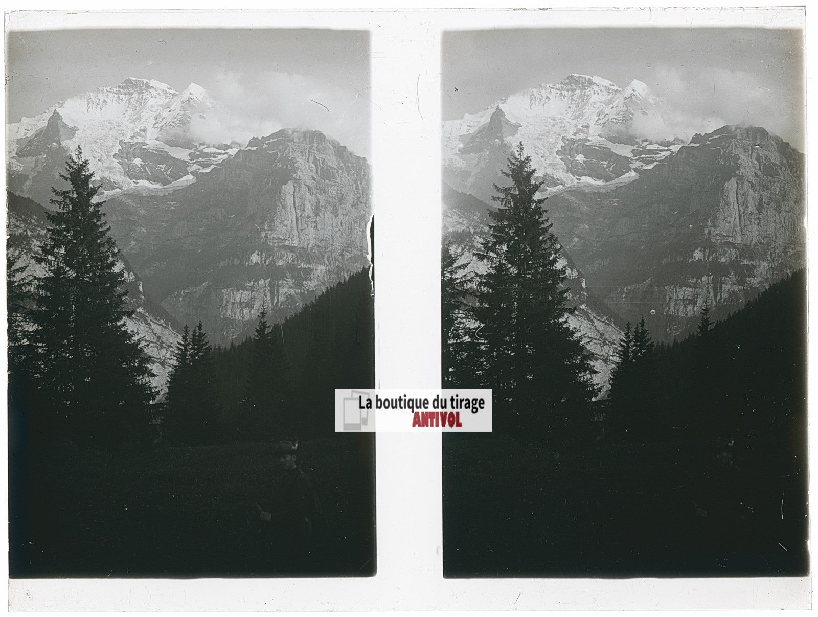 Forêt alpine, Alpes Suisse, stéréo photo plaque verre, noir & blanc, 9x12 cm