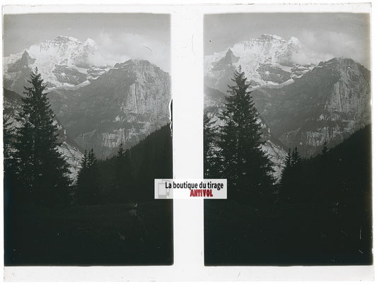 Forêt alpine, Alpes Suisse, stéréo photo plaque verre, noir & blanc, 9x12 cm