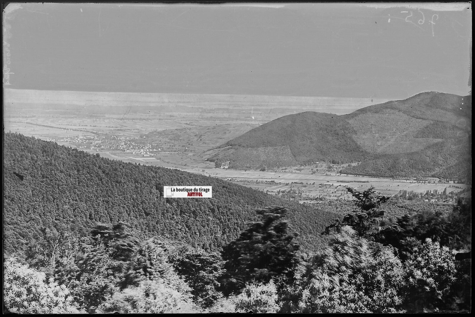Trois-Épis, France, Plaque verre photo ancienne, négatif noir & blanc 10x15 cm