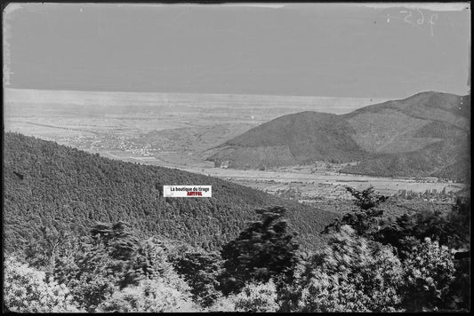 Trois-Épis, France, Plaque verre photo ancienne, négatif noir & blanc 10x15 cm
