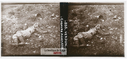 Verdun, cadavre allemand, guerre WW1, plaque verre photo ancienne stéréo 6x13 cm