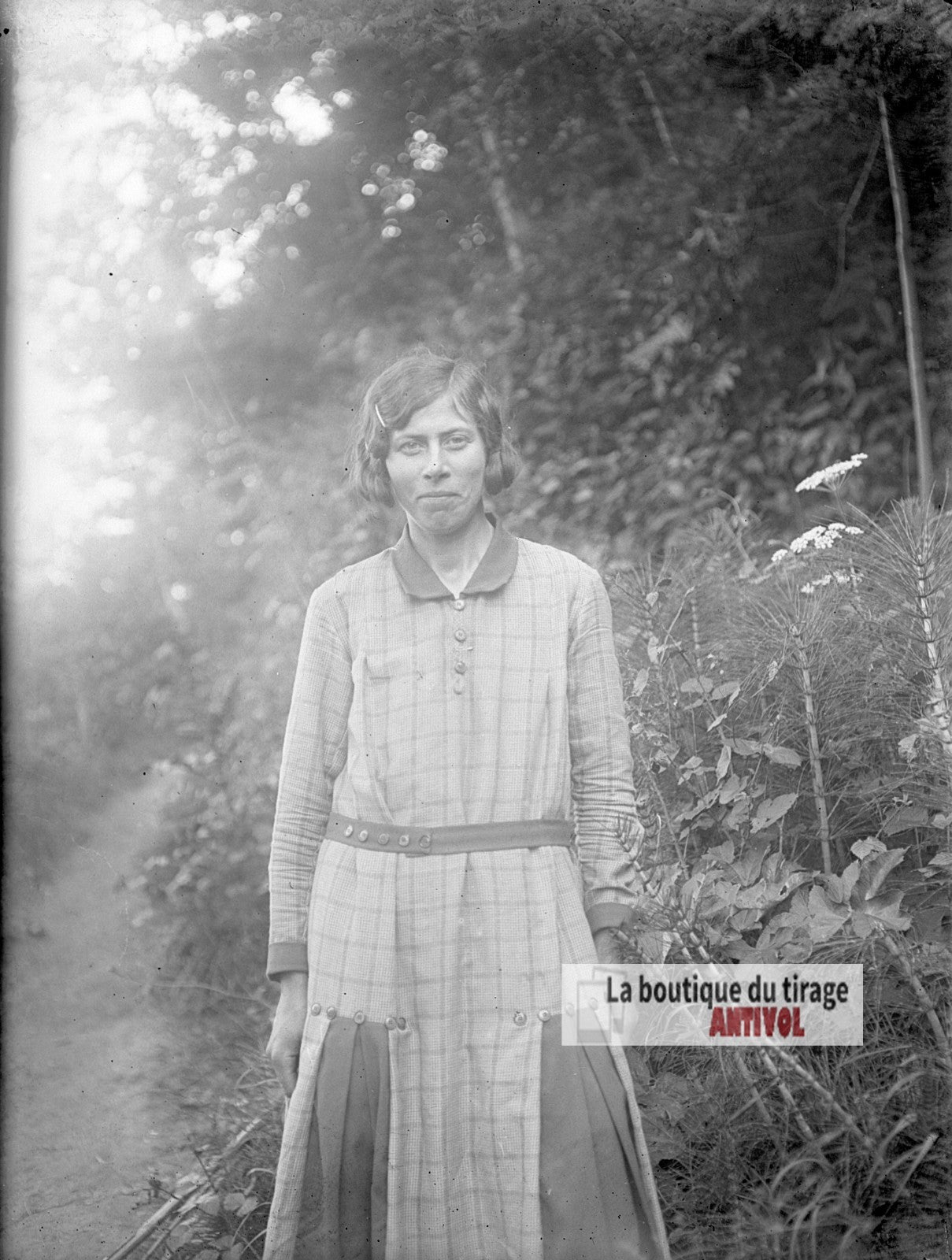 Portrait d'une jeune femme, plaque verre photo ancienne, négatif 9x12 cm
