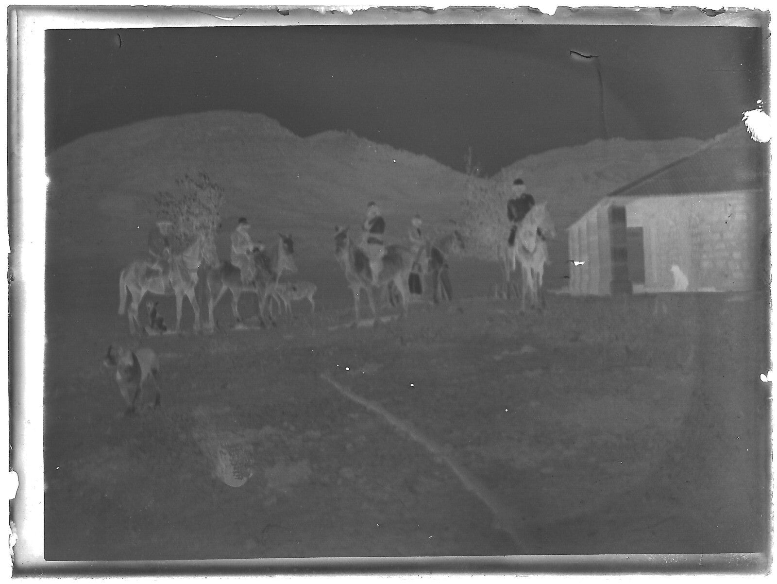 Plaque verre photo ancienne noir et blanc négatif 9x12 cm chevaux désert hommes