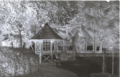 Plaque verre photo ancienne négatif 9x14 cm, noir et blanc château arbre 