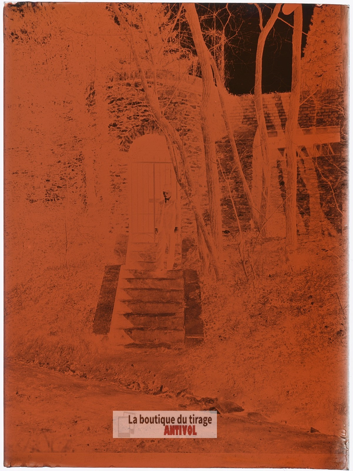 Montmorency, Val-d'Oise, homme, plaque verre, photo ancienne, négatif 9x12 cm