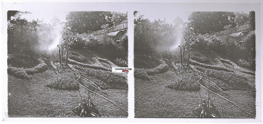 Arrosage, jardin, Plaque verre photo stéréo, positif noir & blanc 6x13 cm