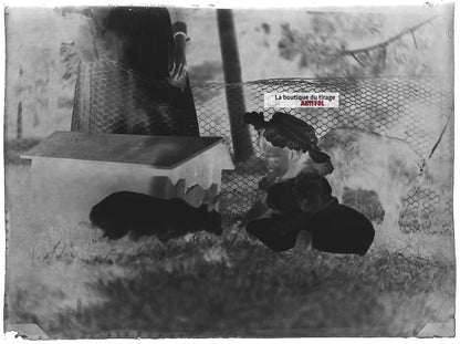 Plaque verre photo ancien négatif noir et blanc 9x12 cm petite fille animaux