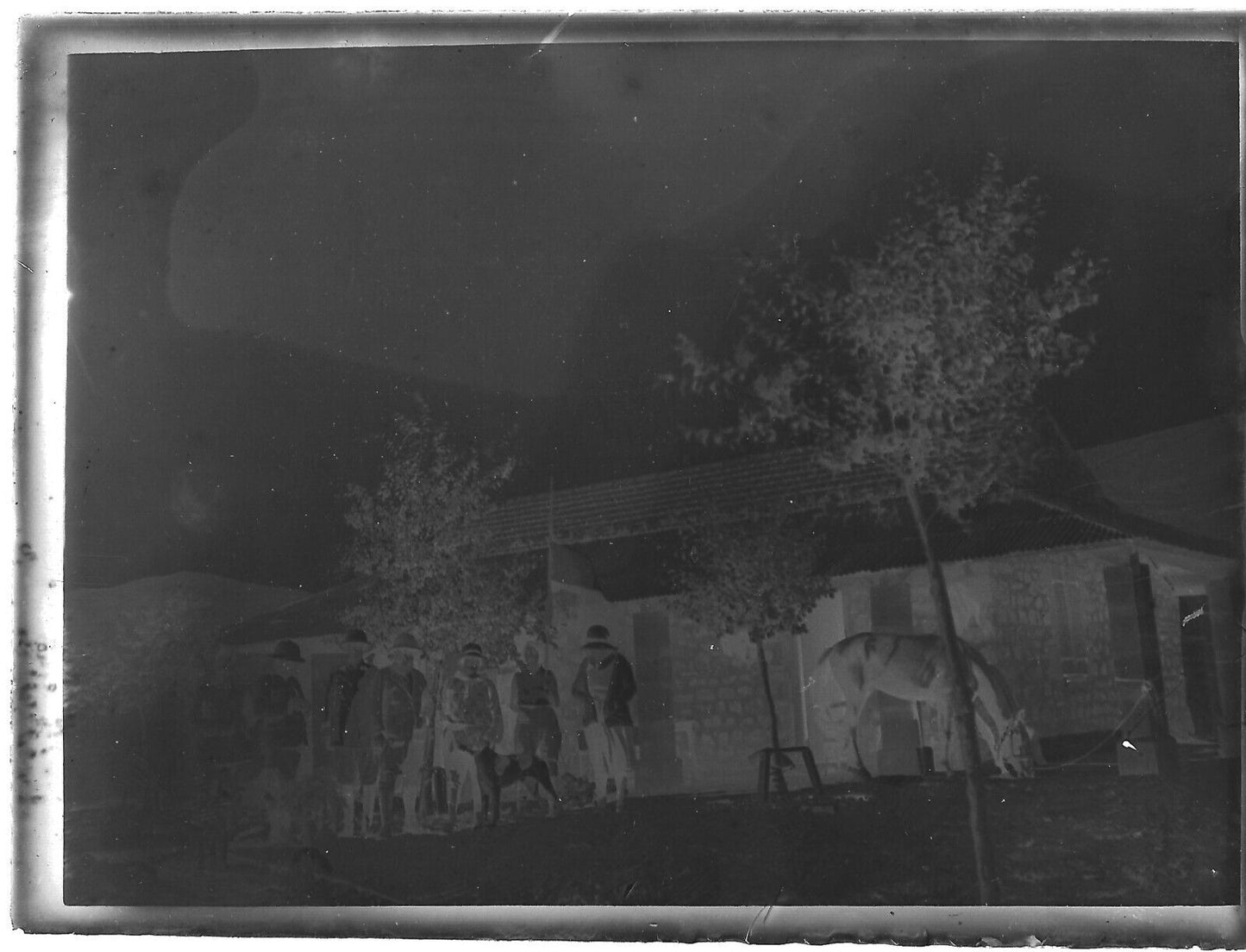 Plaque verre photo ancienne noir et blanc négatif 9x12 cm famille cheval