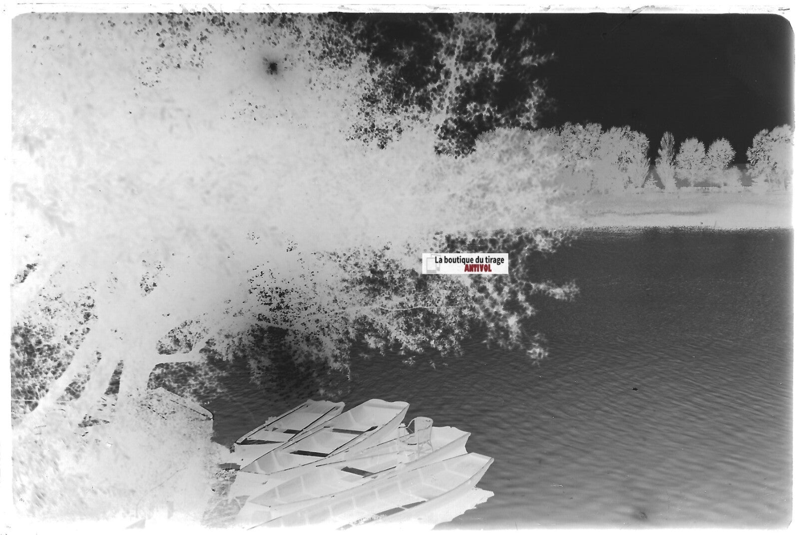 Vichy, barques Allier, Plaque verre photo ancienne négatif noir & blanc 10x15 cm