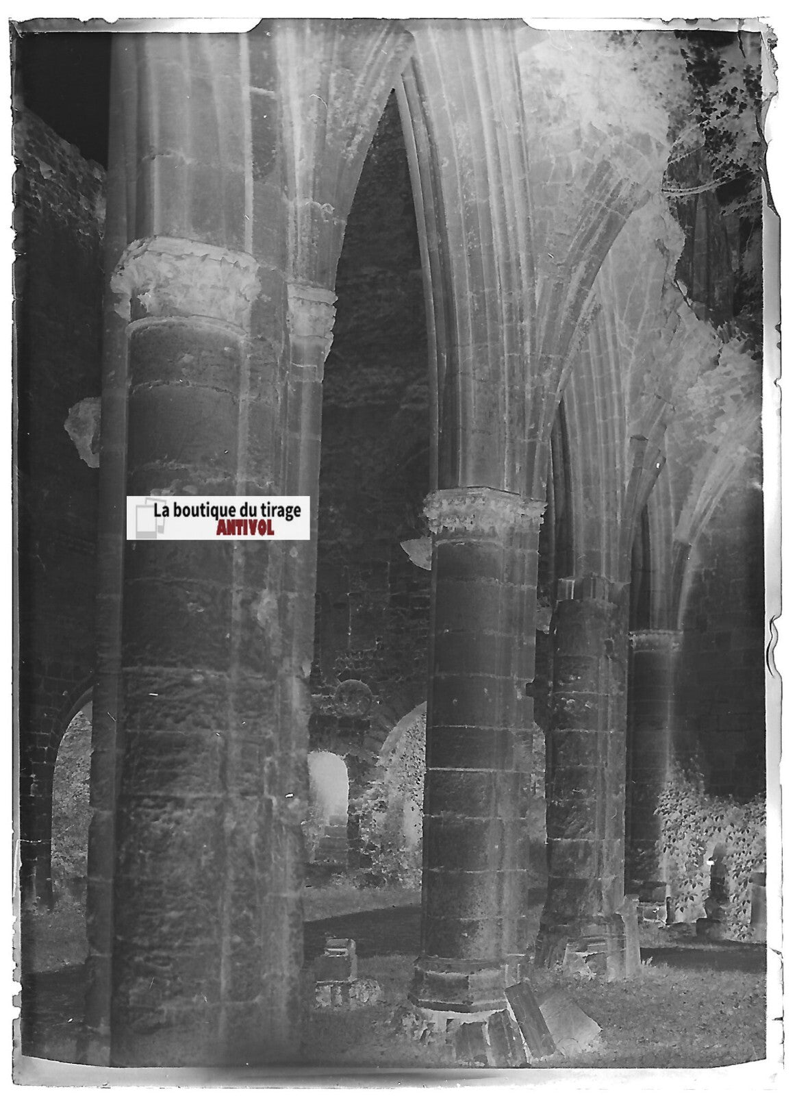 Abbaye de Jumièges, Plaque verre photo ancienne, négatif noir & blanc 6x9 cm