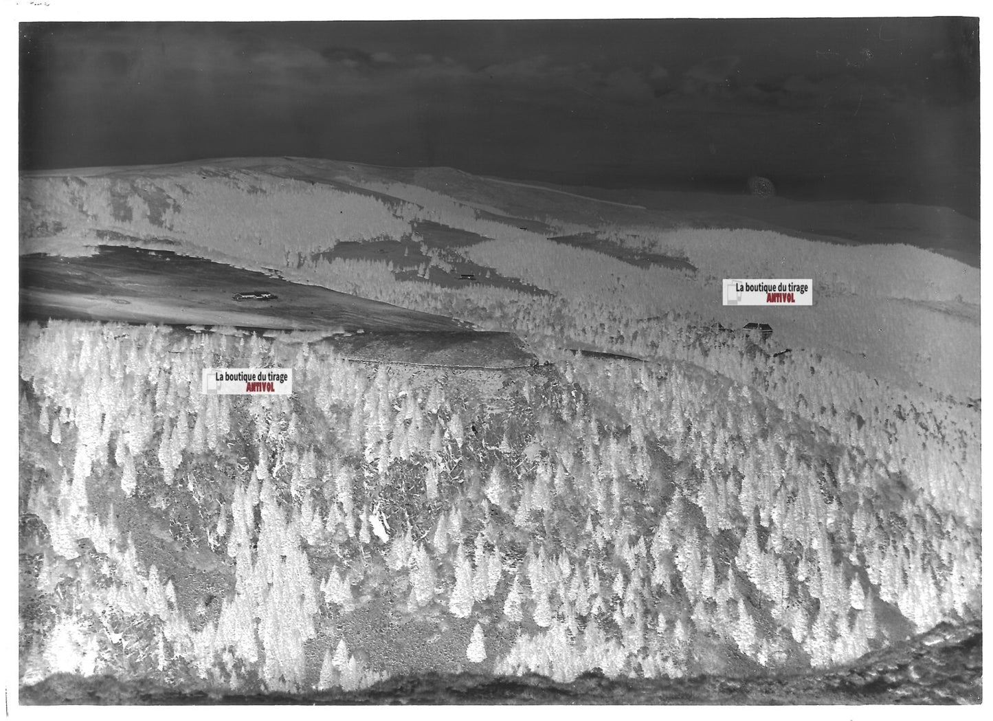 Plaque verre photo ancienne négatif noir et blanc 13x18 cm Hautes-Vosges paysage