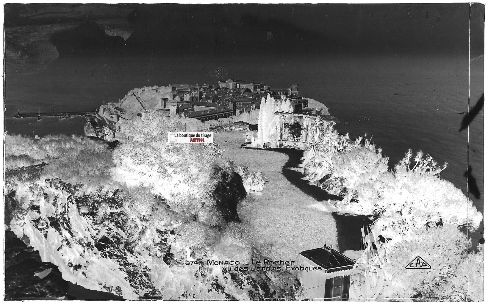 Plaque verre, photo ancienne, négatif noir & blanc 9x14 cm, Monaco, rocher