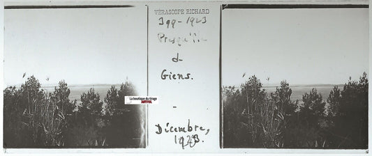 Giens, Richard, Plaque verre photo stéréo, positif noir & blanc 4,5x10,7 cm