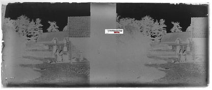 Campagne, Plaque verre photo stéréoscopique, négatif noir & blanc 4,5x10,7 cm
