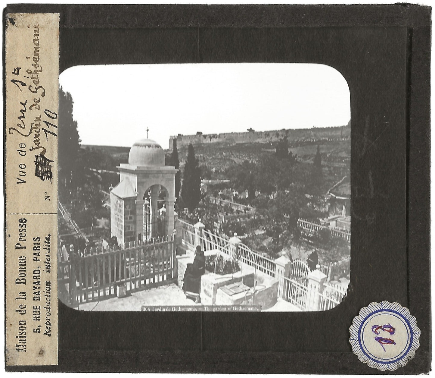 Le jardin de Gethsemane, Jérusalem, photo plaque de verre, positif 8,5x10 cm