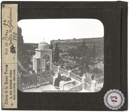 Le jardin de Gethsemane, Jérusalem, photo plaque de verre, positif 8,5x10 cm
