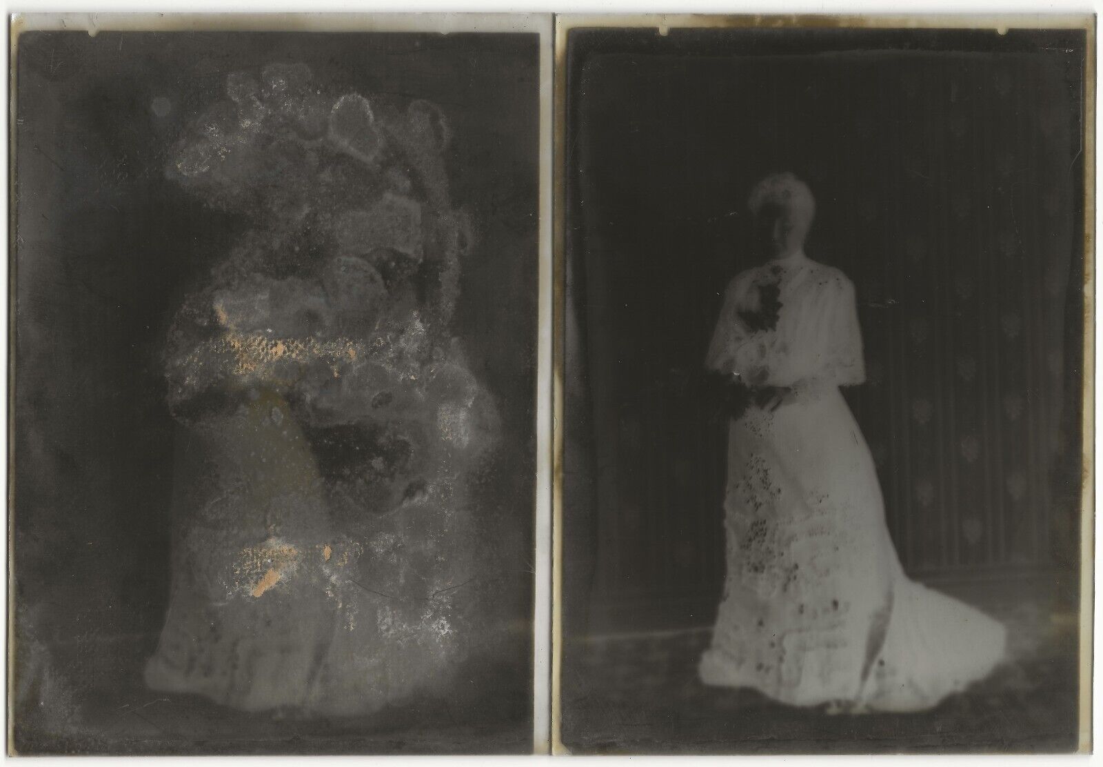 Femmes, robe, photos anciennes plaque de verre, lot de 10 négatifs 13x18 cm