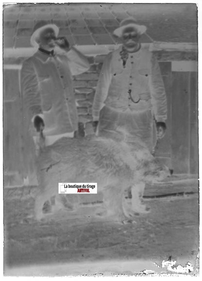 Chasse, sanglier, Plaque verre photo, négatif ancien noir & blanc 6x9 cm