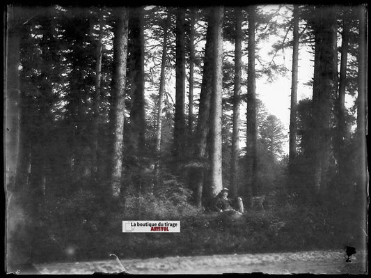 Plaque verre photo ancien négatif noir et blanc 9x12 cm homme forêt bois nature