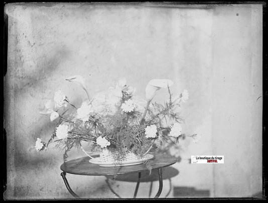 Bouquet fleurs, Plaque verre photo ancienne, négatif noir & blanc 9x12 cm