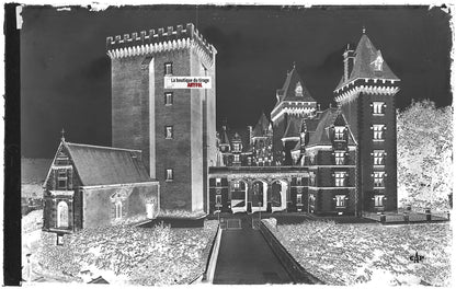 Plaque verre photo vintage, négatif noir & blanc 9x14 cm, façade château Pau