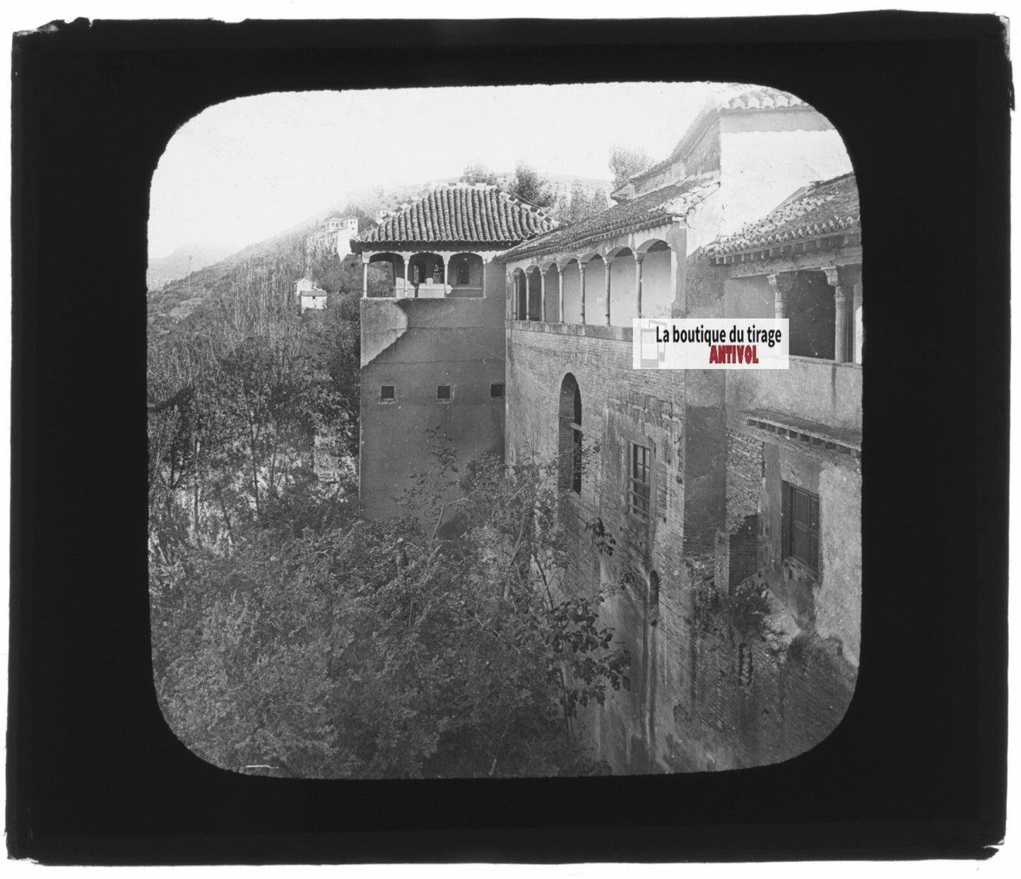 Généralife, Grenade, Espagne, photo ancienne plaque verre, positif 8,5x10 cm