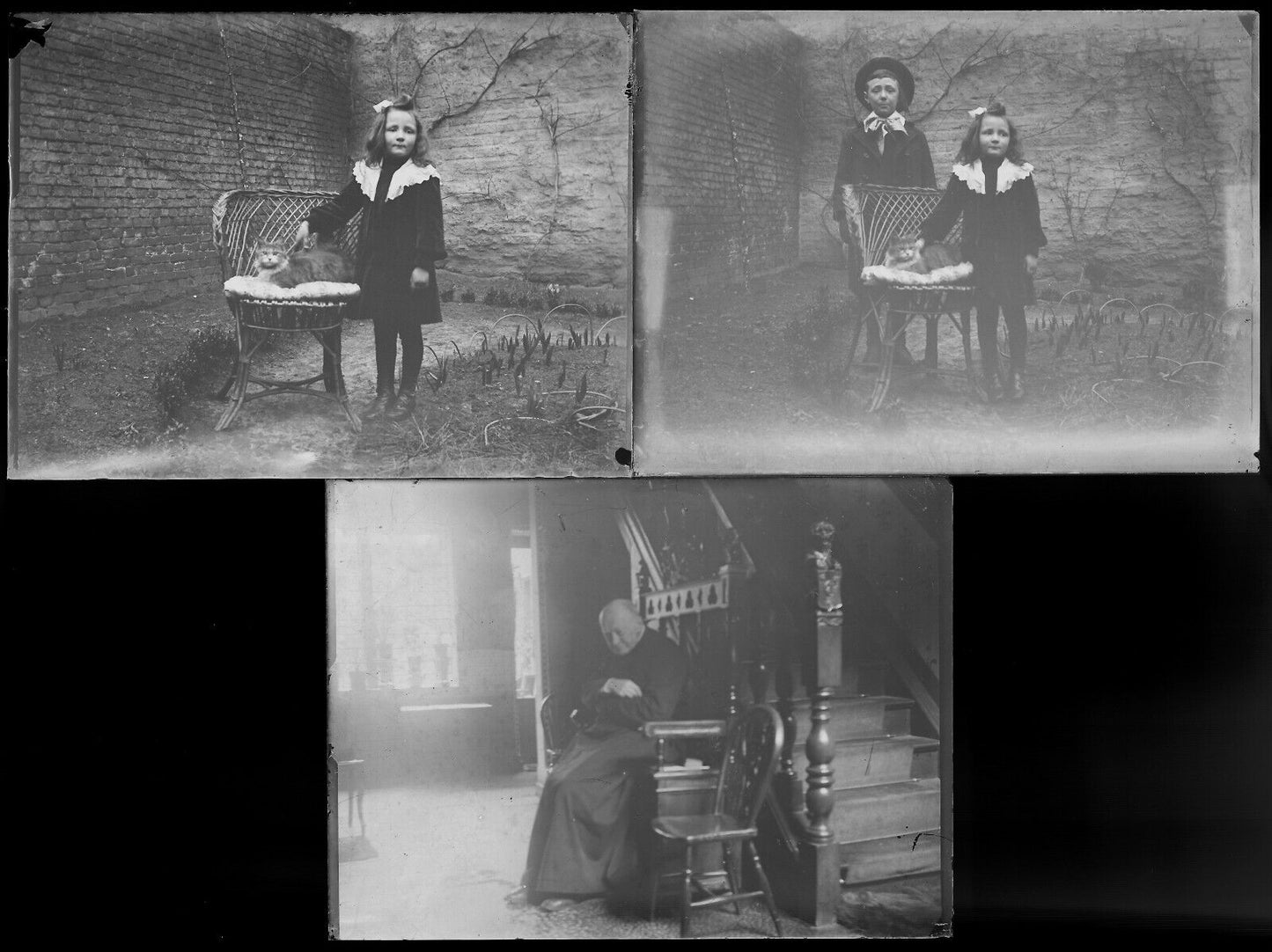 Belgique, famille, enfants, photo plaque verre, lot de 19 négatifs 9x12 cm