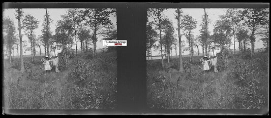 Promenade, Plaque verre photo stéréoscopique, négatif noir & blanc 4,5x10,7 cm