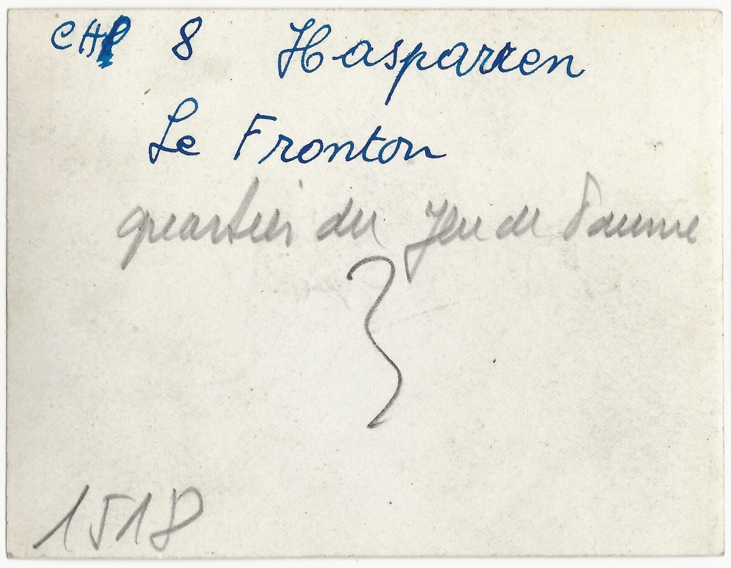 Plaque verre, photo négatif noir & blanc 9x14 cm, Hasparren, Pays Basque, France