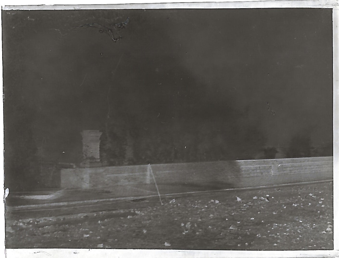 Bailly, Renard, chevaux, photos plaque de verre, lot de 10 négatifs 4x6 cm