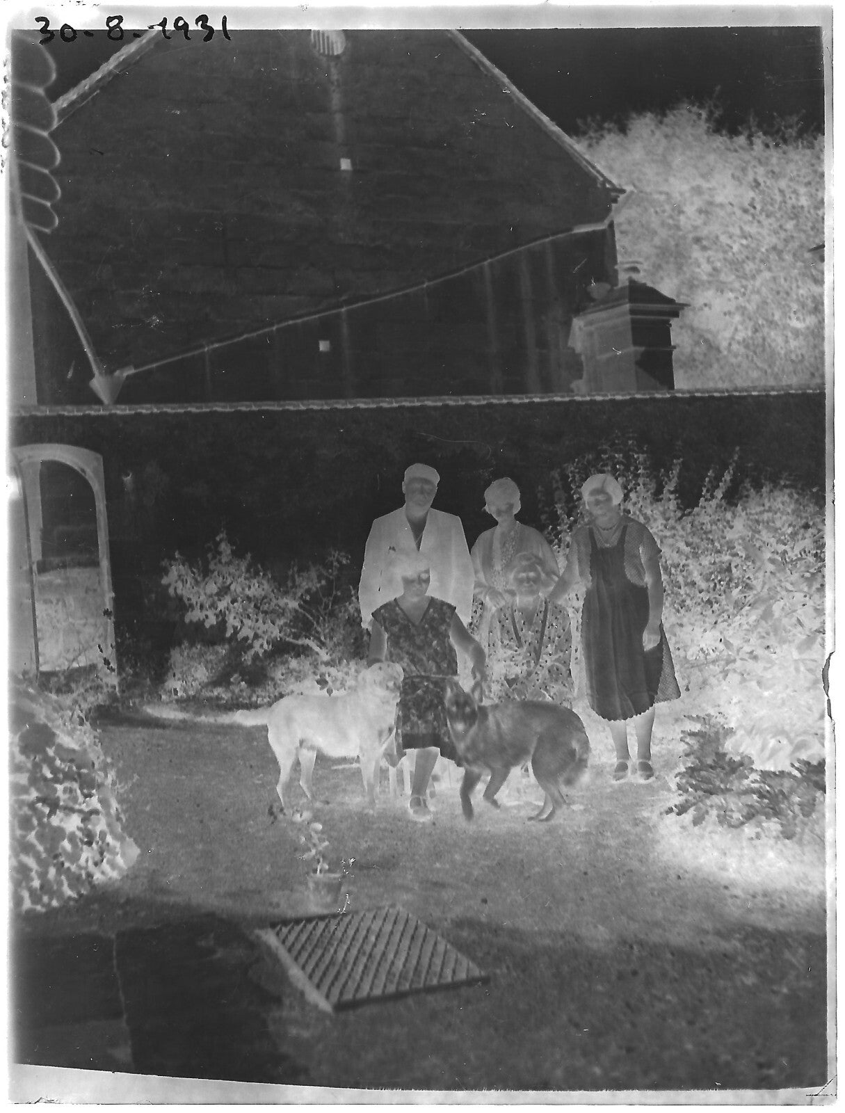 Plaque verre photo ancienne négatif noir et blanc 9x12 cm famille chiens France 