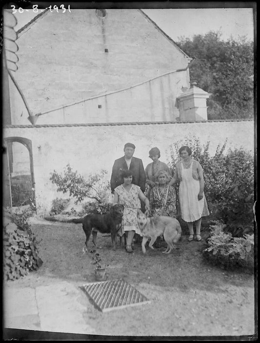 Plaque verre photo ancienne négatif noir et blanc 9x12 cm famille chiens France 