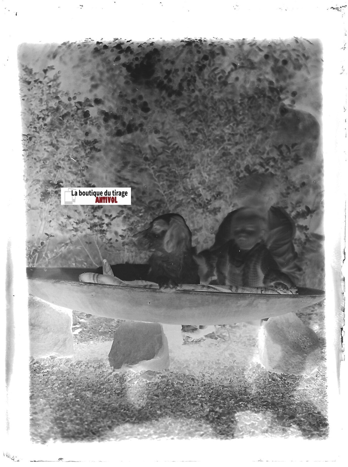 Jardin, chien, bébé, plaque verre photo ancienne, négatif noir & blanc 9x12 cm