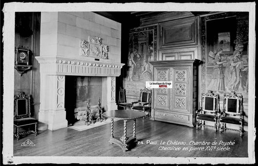 Plaque verre photo négatif noir & blanc 9x14 cm, château de Pau, Psyché, France